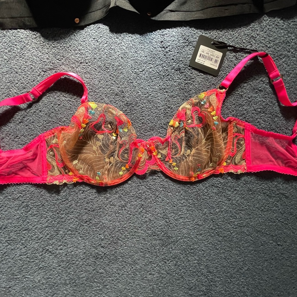 Honey Birdette Brand New Bra NEVER WORN had a breast reduction. 36 DDD